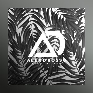 收听Alex D'rosso的Next 2 U (EMDAL Remix)歌词歌曲