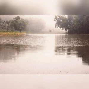 ดาวน์โหลดและฟังเพลง Ya Jamalan พร้อมเนื้อเพลงจาก Guru Sekumpul