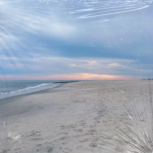 Joe Raphael的專輯The Wave