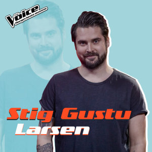 收聽Stig Gustu Larsen的Sign Of The Times (Fra TV-Programmet "The Voice")歌詞歌曲