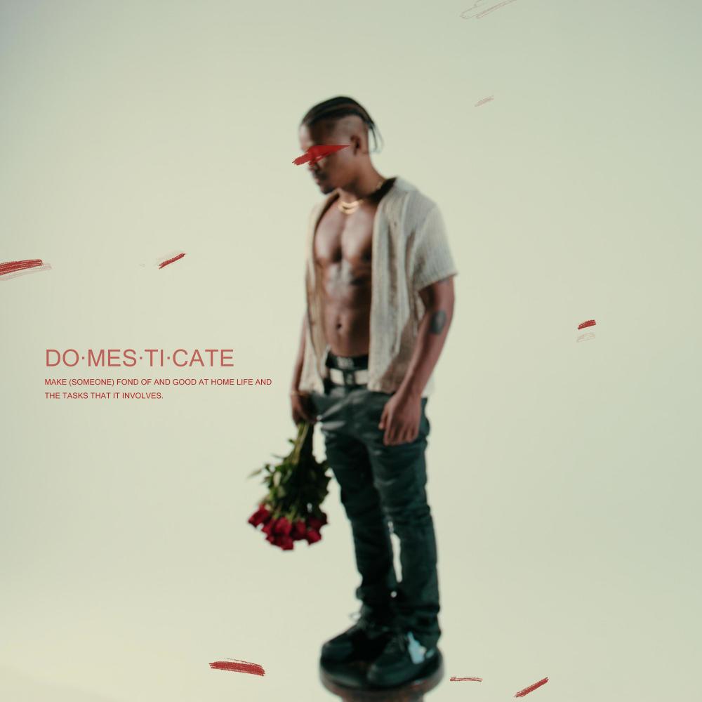 DOMESTICATE (Explicit)