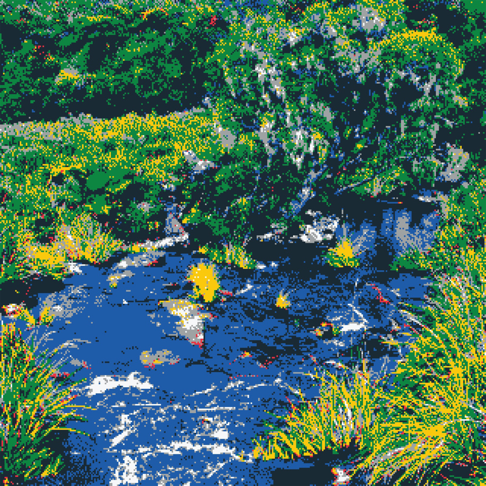 The Wildness