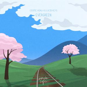 Listen to Evergreen song with lyrics from Cosmic Koala