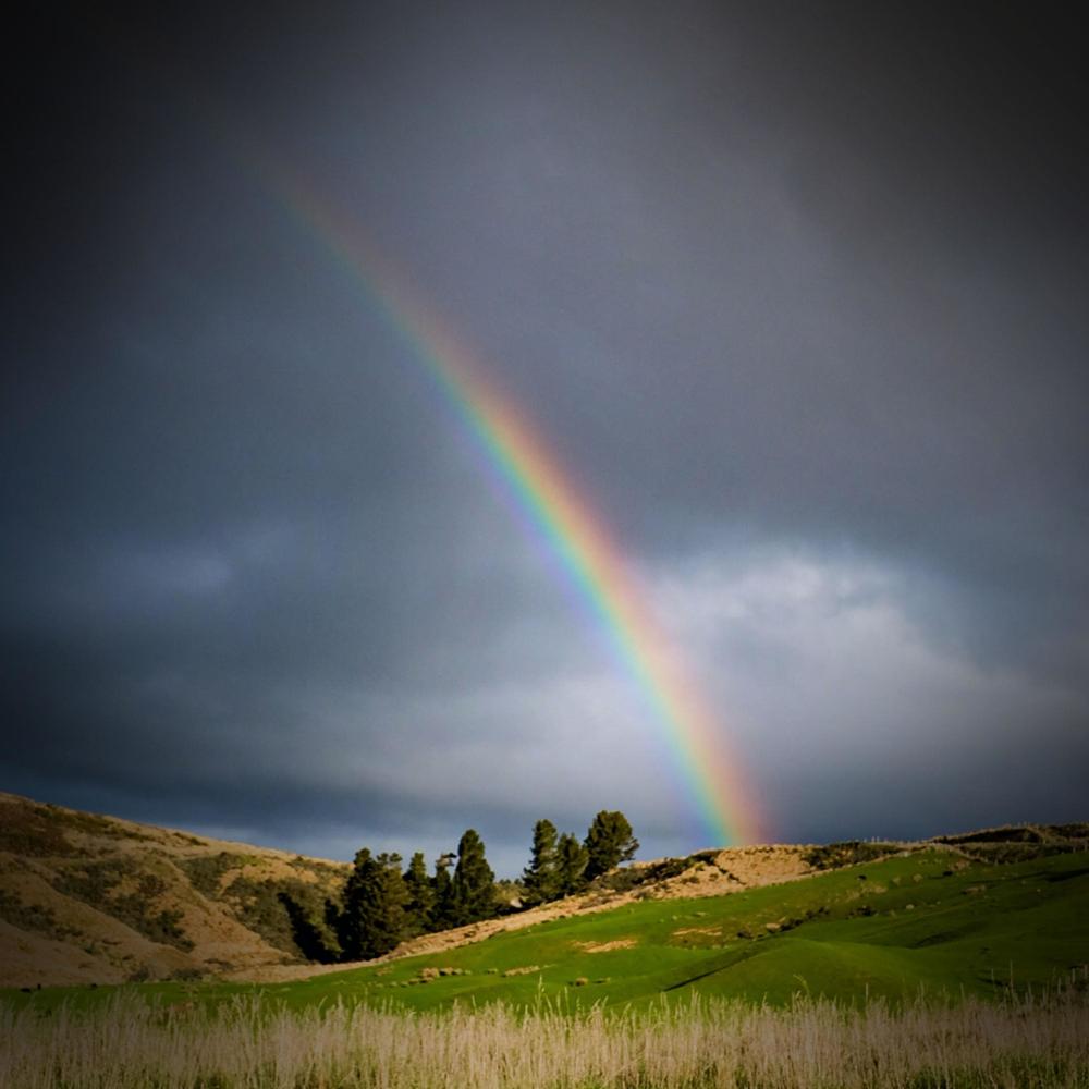 Peaceful After Rain Sounds of Nature for Instant Relaxation