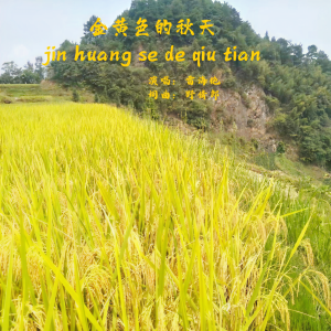 Listen to 金黄色的秋天 song with lyrics from 野情郎