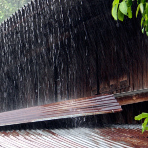 ดาวน์โหลดและฟังเพลง Rain On Corrugated Iron พร้อมเนื้อเพลงจาก Ambiance