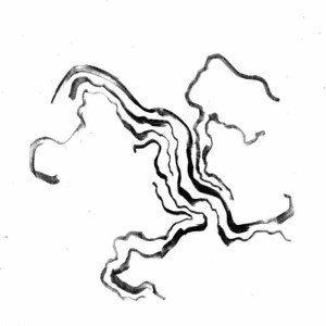 收聽Werner Kitzmüller Trio的Just You歌詞歌曲