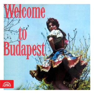 Listen to Klarinetový Čardáš song with lyrics from Brnensky Rozhlasovy Orchestr Lidovych Nastroju