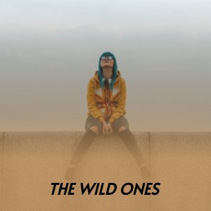 Album The Wild Ones oleh Various