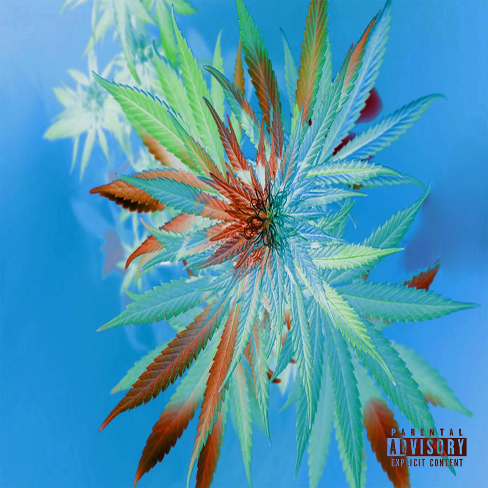 Exotic (feat. Paby) (Explicit)