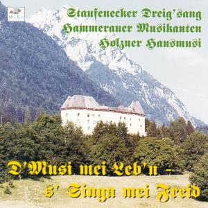 Listen to Tanzbod'n Boarischer song with lyrics from Hammerauer Musikanten