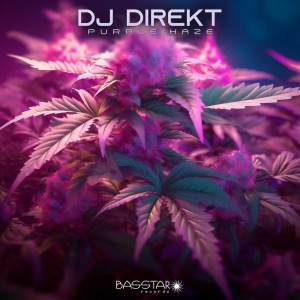 DJ Direkt的專輯Purple Haze