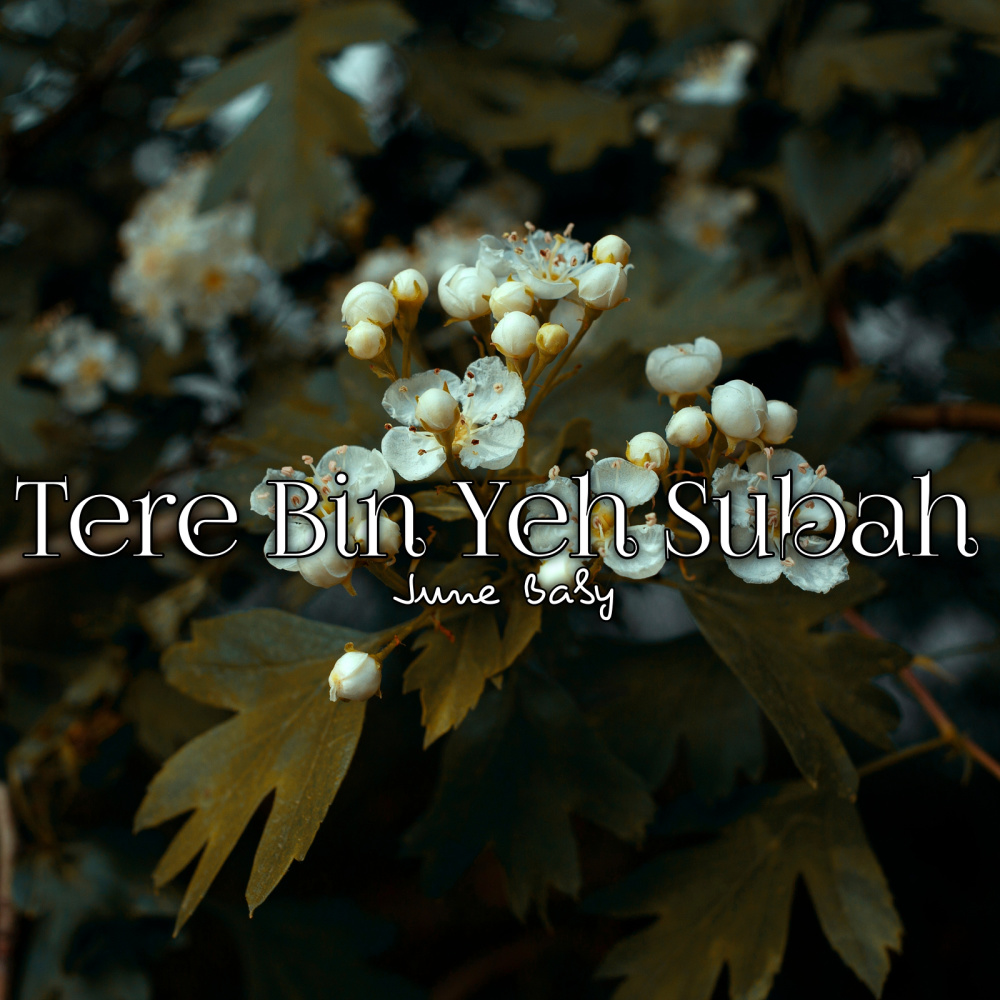 Tere Bin Yeh Subah