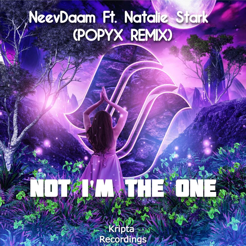 Not I'm The One (POPYX Remix)