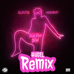 Album Pew Pew Pew (HUGEL Remix) oleh Auntie Hammy