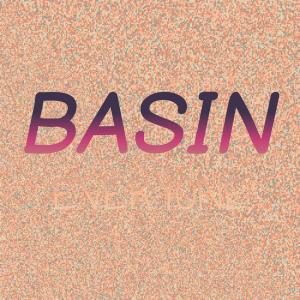 Dengarkan Basin Everyone lagu dari Niko Pres dengan lirik