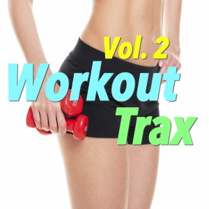 Album Workout Trax, Vol. 2 (Explicit) oleh Various