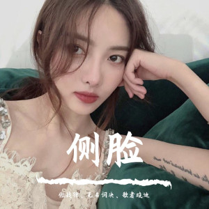 收聽傲戰鋒的側臉 (DJ版)歌詞歌曲