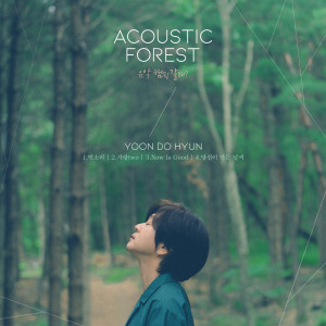 The Acoustic Forest