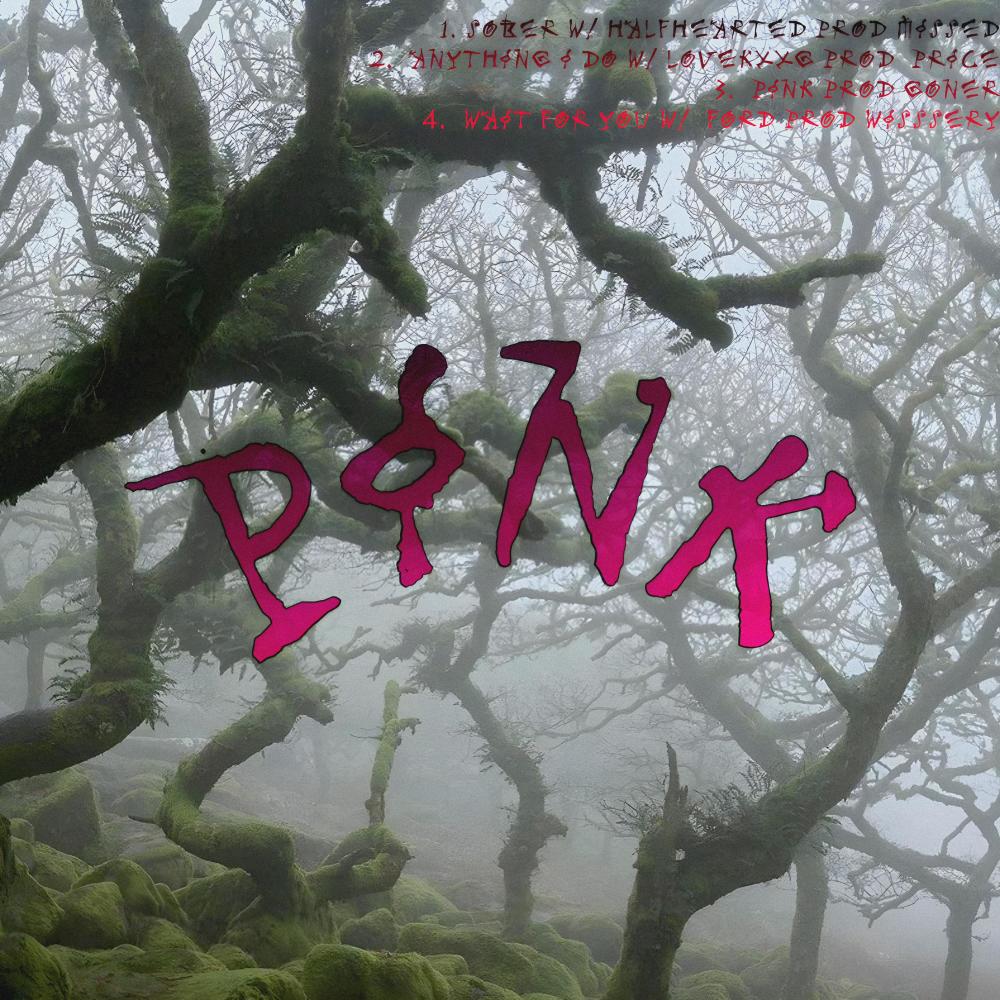 pink (feat. goner)
