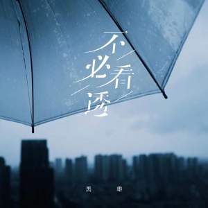 Album 不必看透 from 黑雄