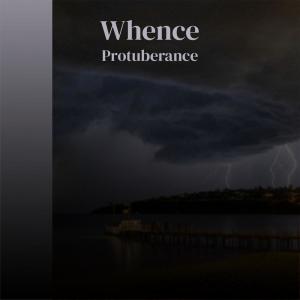Album Whence Protuberance oleh Various Artists