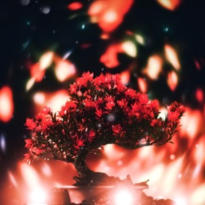 收聽BARDZ的Skin Deep歌詞歌曲