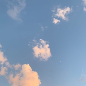 收听Cleo Dre的Bloom歌词歌曲