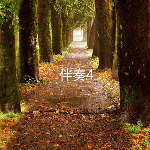 舞动蒂加文化的专辑蒂牧花的想恋 (伴奏4)