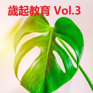 อัลบัม 歲起教育 3 ศิลปิน Sui Qi