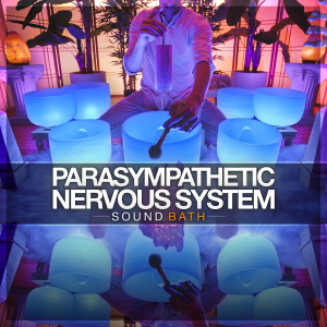 Album Parasympathetic Nervous System Sound Bath from Healing Vibrations
