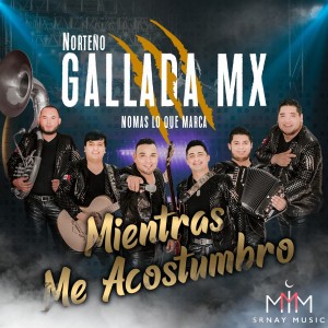 收听Gallada MX的El Sugar Dady歌词歌曲