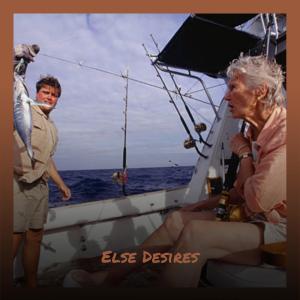 Various的专辑Else Desires