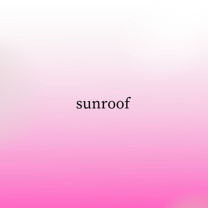 Listen to Sunroof (Slowed + Reverb) song with lyrics from Kiwi
