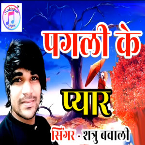 Listen to Pagli Ke Peyar song with lyrics from Shatru Bawali