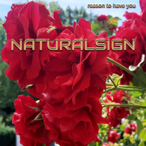 Album Reason to Have You from Naturalsign