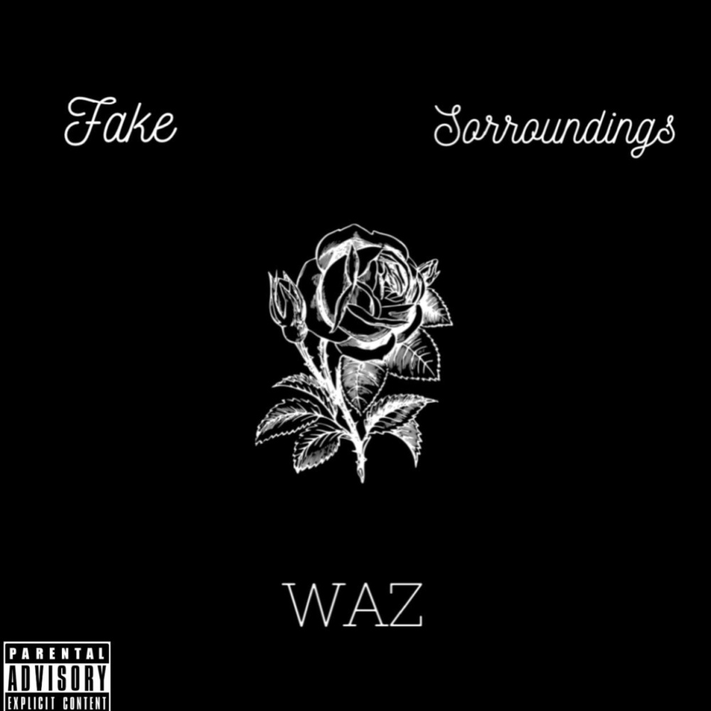 Fake Sorroundings (Explicit)