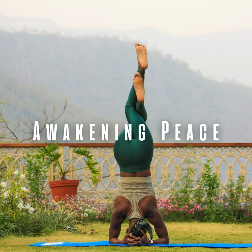 Grounding Meditation