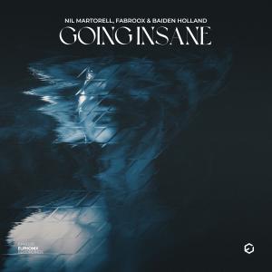 ดาวน์โหลดและฟังเพลง Going Insane พร้อมเนื้อเพลงจาก Nil Martorell