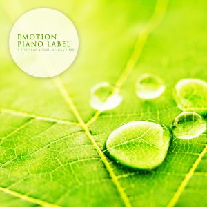 ดาวน์โหลดและฟังเพลง The Temperature Of Emotion พร้อมเนื้อเพลงจาก 송희정