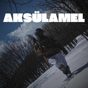 收听Ali Oktay的Evvel Zaman歌词歌曲