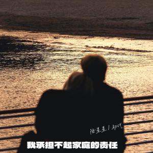 Listen to 我承担不起家庭的责任 song with lyrics from 陆星星