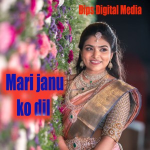 Album Mari Janu Ko Dil from Hanuman
