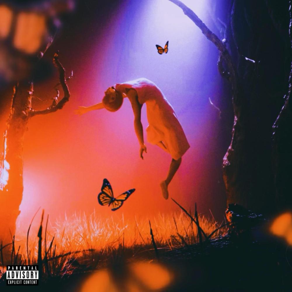 idk why (feat. Theyluvswaee) (Explicit)