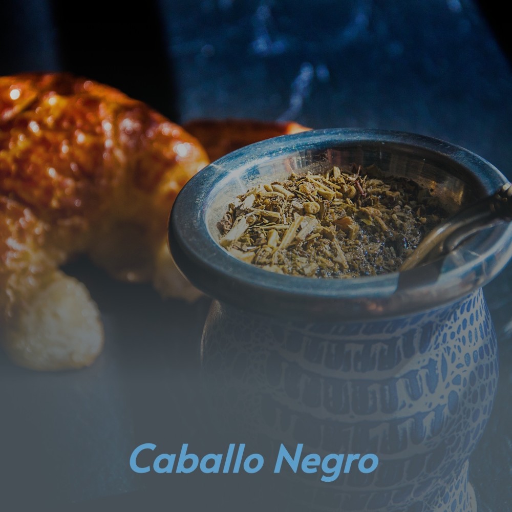 El Mecanico