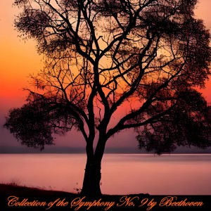 อัลบัม Collection of the symphony no. 9 by beethoven ศิลปิน Chopin----[replace by 16381]