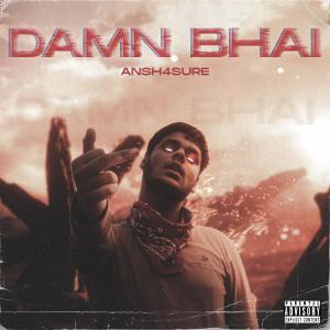 收听Ansh4sure的Damn Bhai (Explicit)歌词歌曲