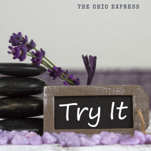 Dengarkan lagu Try It nyanyian The Ohio Express dengan lirik