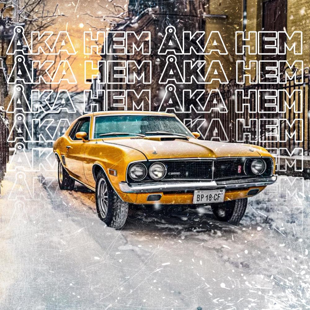 Åka Hem