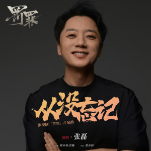 收听张磊的从没忘记歌词歌曲
